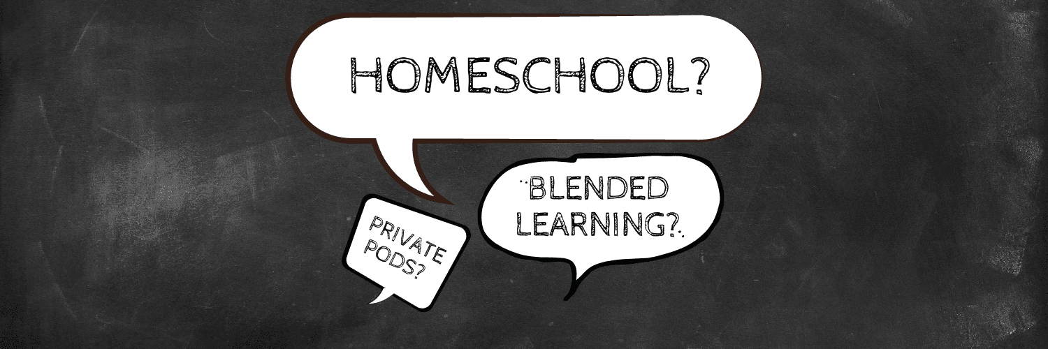 learning models homeschooling