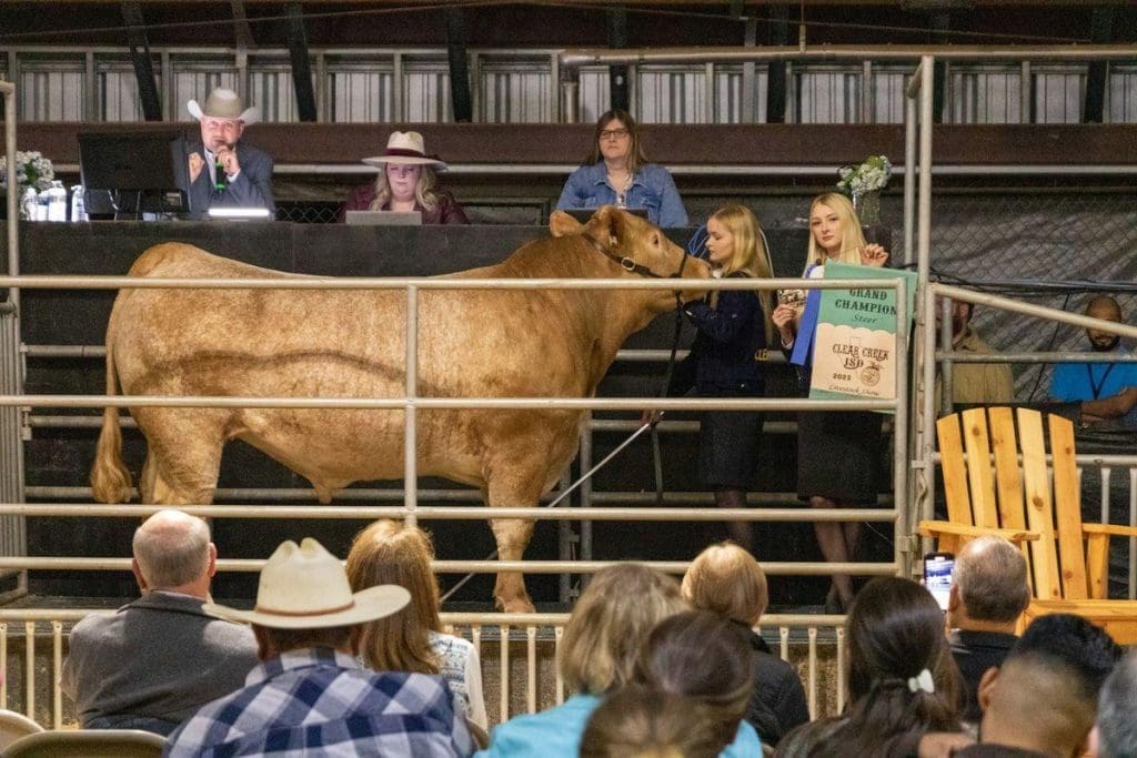 clear creek auction