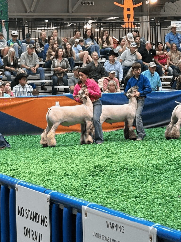 Needville ISD Rodeo