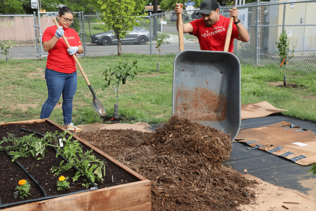 People working in a garden.