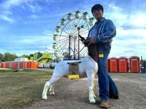 Waller County Fair Goat Exhibitor Finalist